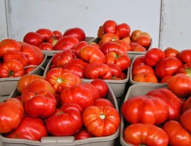 Δεσμεύτηκε 1,5 τόνος ντομάτας από επιχείρηση του Πειραιά